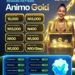 How Animo Platform Works