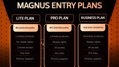 Magnus Registration Plans