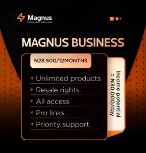 Magnus Business